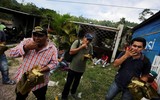 [ẢNH] Người di cư Honduras chạy trốn đói nghèo, ầm ầm đổ về biên giới Mỹ